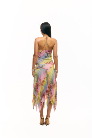 The Lily Serenade (Top & Skirt)